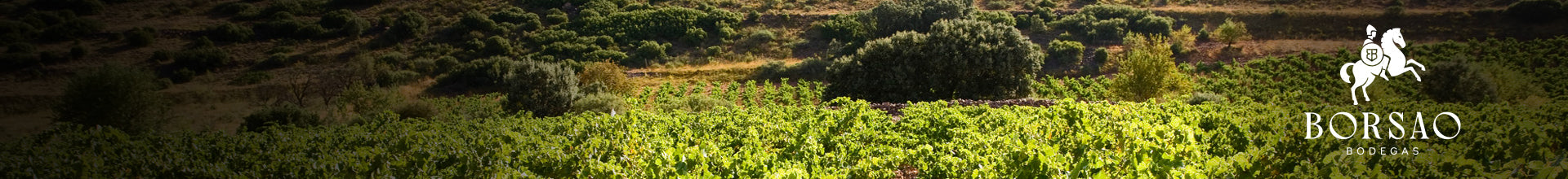 Bodegas Borsao