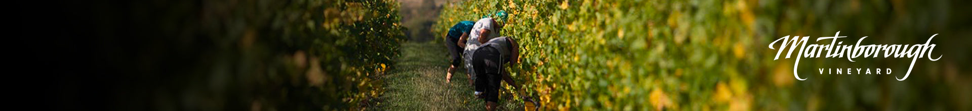 Martinborough Vineyard