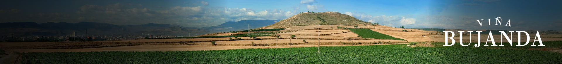 Viña Bujanda