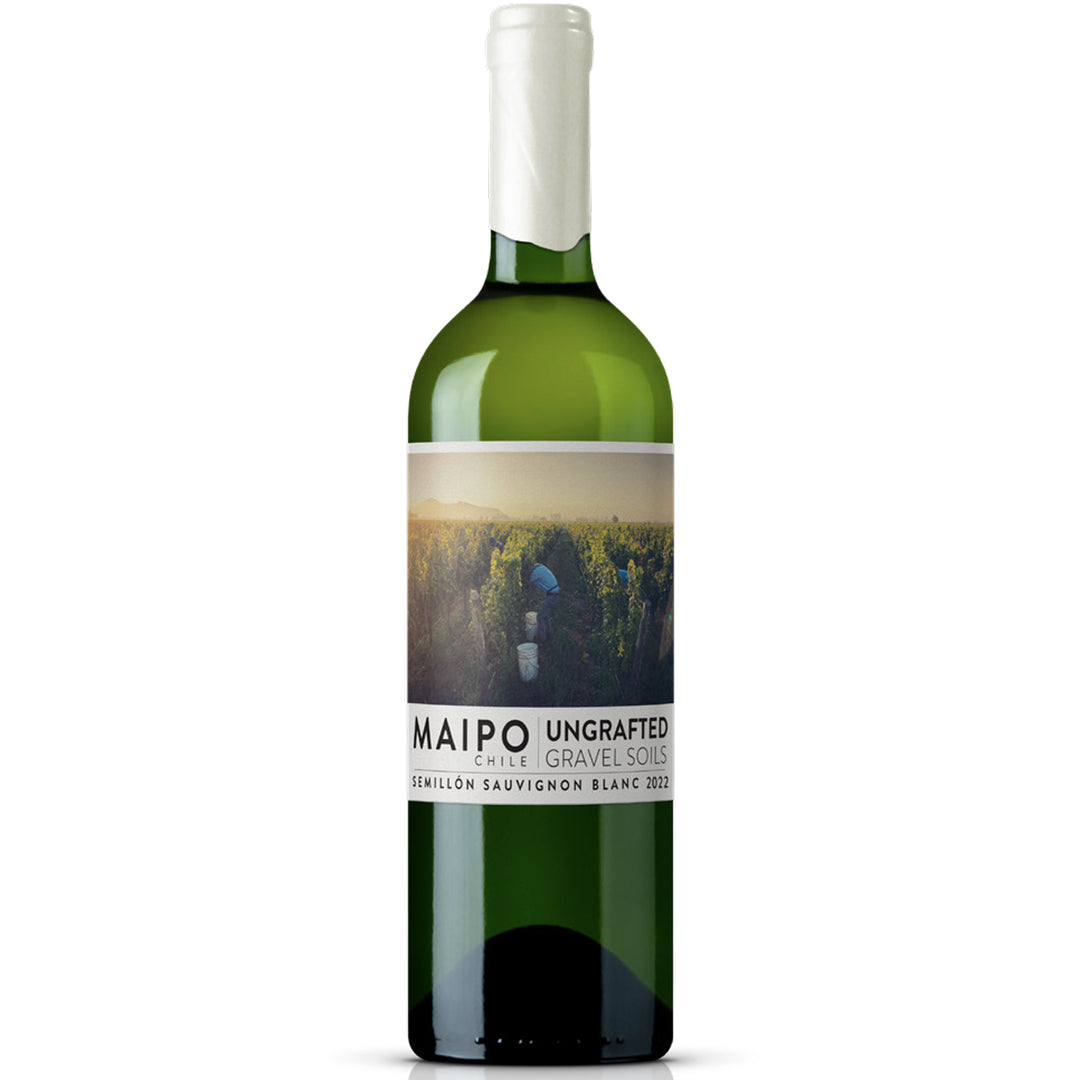 Ungrafted Gravel Soils Semillon Sauvignon Blanc 2023