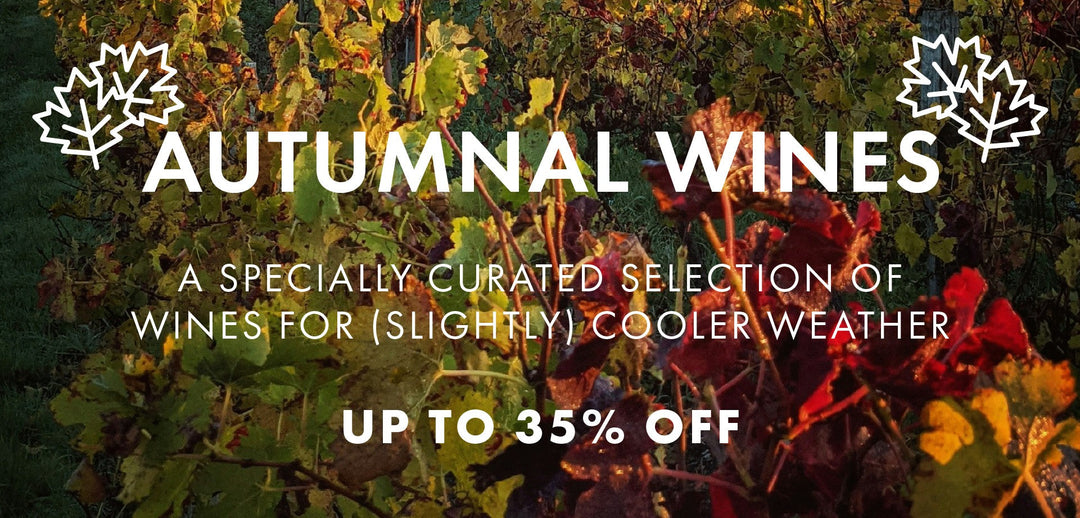 Embracing the Season: A Guide to Autumnal WInes