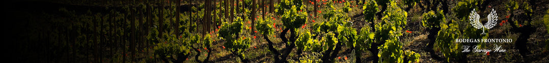 Bodegas Frontonio