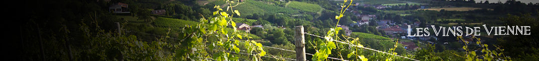 Les Vins de Vienne