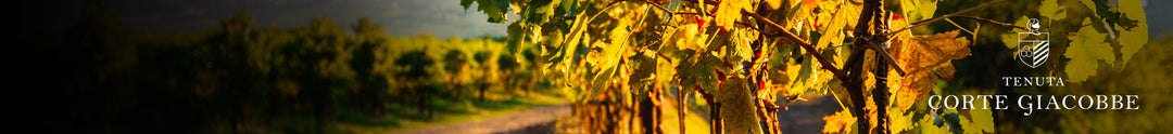 Tenuta di Corte Giacobbe