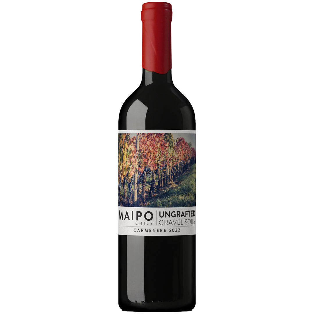 Ungrafted Gravel Soils Carmenere 2022